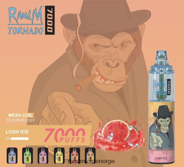 frodig is RandM Tornado 7000 luftstrømkontroll vape enhet 1 stk 4L8N2H165 - RandM shop reviews